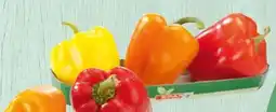 Spar Spar Paprika-Mix Angebot
