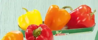 Spar Spar Paprika-Mix Angebot