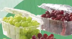 Spar Trauben Angebot
