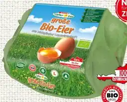 Spar Spar Natur pur Bio-Eier Angebot
