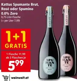 Interspar Kattus Spumante Brut Angebot