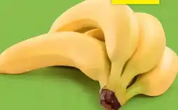 Hofer Hofer Marktplatz Bio-Bananen Angebot