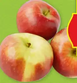Hofer Hofer Marktplatz Äpfel Angebot
