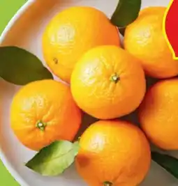 Hofer Hofer Marktplatz Satsumas Angebot