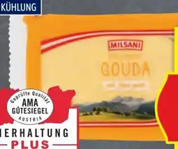 Hofer Milsani Gouda Angebot