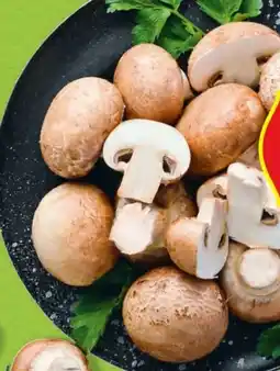 Hofer Hofer Marktplatz Bio-Champignon Angebot