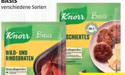 Hofer Knorr Basis Angebot