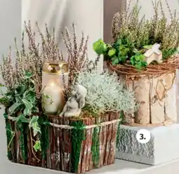 Hofer Bepflanztes Grabarrangement Angebot
