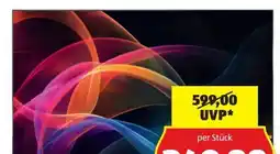 Hofer Sharp 4K UHD Google TV HL4465E Angebot