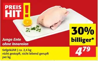 Junge ente ohne innereien
