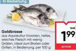 Maximarkt Goldbrasse Angebot