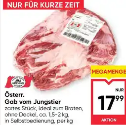 Maximarkt Österr. gab vom jungstier Angebot