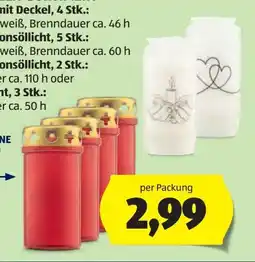 Hofer Grabkerzen-Sortiment Angebot