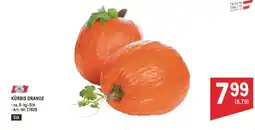 Metro Kürbis orange Angebot