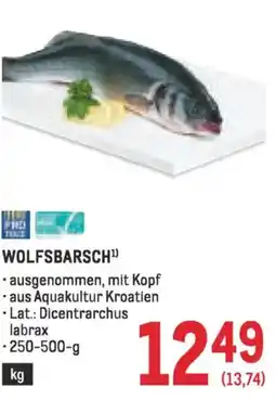 Metro Wolfsbarsch Angebot