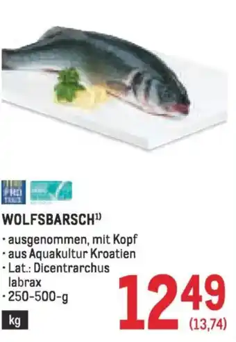 Metro Wolfsbarsch Angebot