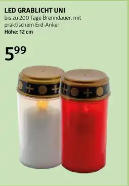 Bellaflora Led grablicht uni Angebot