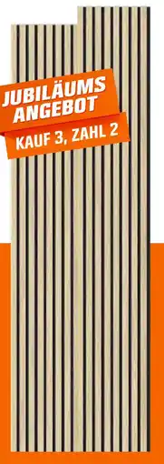 OBI Denpanels akustikpaneel Angebot