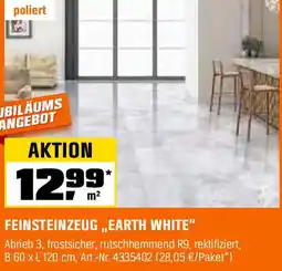 OBI Feinsteinzeug earth white Angebot