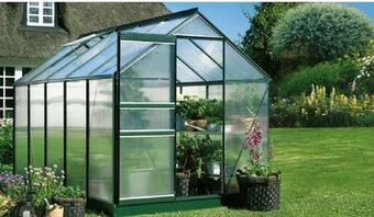 OBI Gewächshaus Popular 86 Angebot