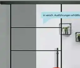 Hellweg Ganzglastür Industry Black 4 Angebot