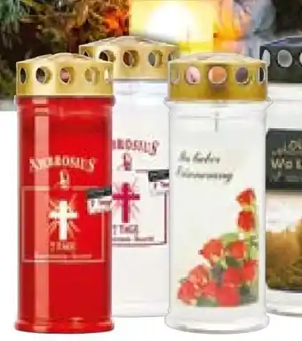 Hellweg Öl-Grablicht Angebot