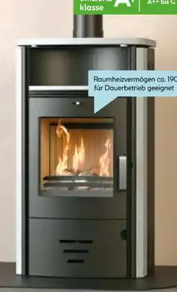 Hellweg Kaminofen Stockholm 4.0 Angebot