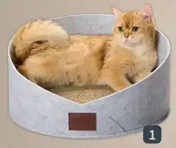 Fressnapf More Lifestylepets Katzen Kratzbrett Bett Felt Angebot
