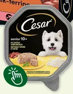 Fressnapf Cesar Hundenahrung Schale Angebot