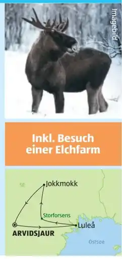 Hofer Hofer-Reisen Rundreise Schweden Winterzauber Angebot