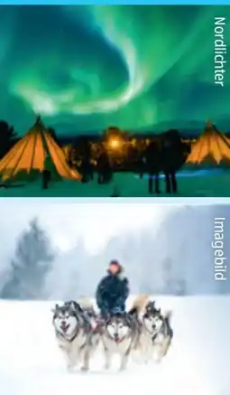 Hofer Hofer-Reisen Norwegen-Nordlichtzauber in Tromsø Angebot