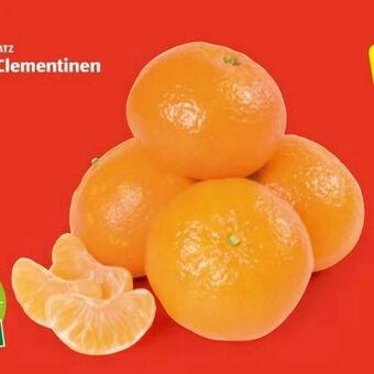 Hofer Clementinen Angebot