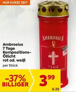 Billa Ambrosius 7 Tage Kompositions- Öllicht rot od. weiß Angebot