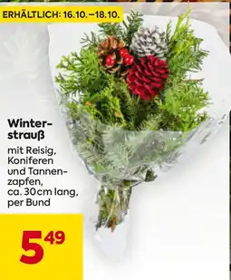 Billa Winter- strauß Angebot