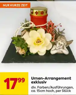 Billa Urnen-Arrangement exklusiv Angebot