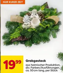 Billa Grabgesteck Angebot