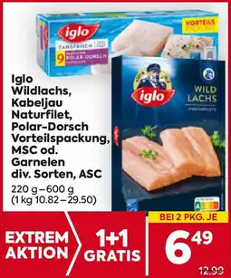 Billa Iglo Wildlachs, Kabeljau Naturfilet, Polar-Dorsch Vorteilspackung, MSC od. Garnelen Angebot