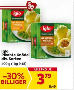 Billa Iglo Pikante Knödel Angebot