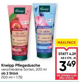 Maximarkt Kneipp pflegedusche Angebot