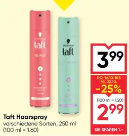 Maximarkt Taft Haarspray Angebot
