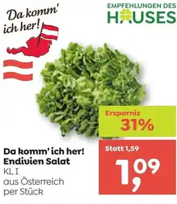 ADEG Endivien Salat Angebot