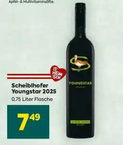 Billa Scheiblhofer Youngstar 2025 Angebot