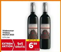 Billa Triebaumer Triebau Merlot 2023 Angebot