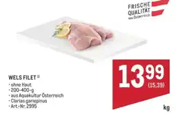 Metro Wels filet Angebot