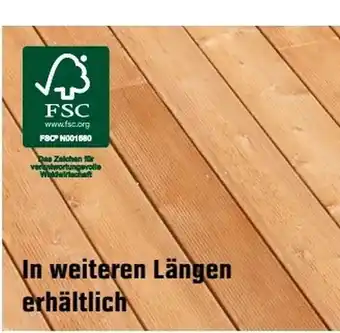 OBI Terrassendiele Sibirische Lärche Angebot