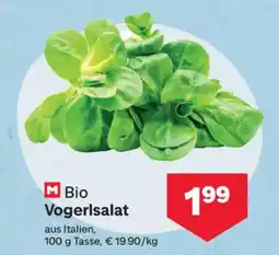 MPreis Bio Vogerlsalat Angebot