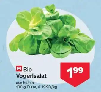 MPreis Bio Vogerlsalat Angebot
