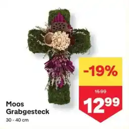 MPreis Moos Grabgesteck Angebot