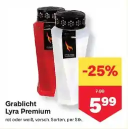 MPreis Grablicht Lyra Premium Angebot