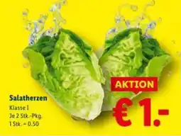 Lidl Salatherzen Angebot